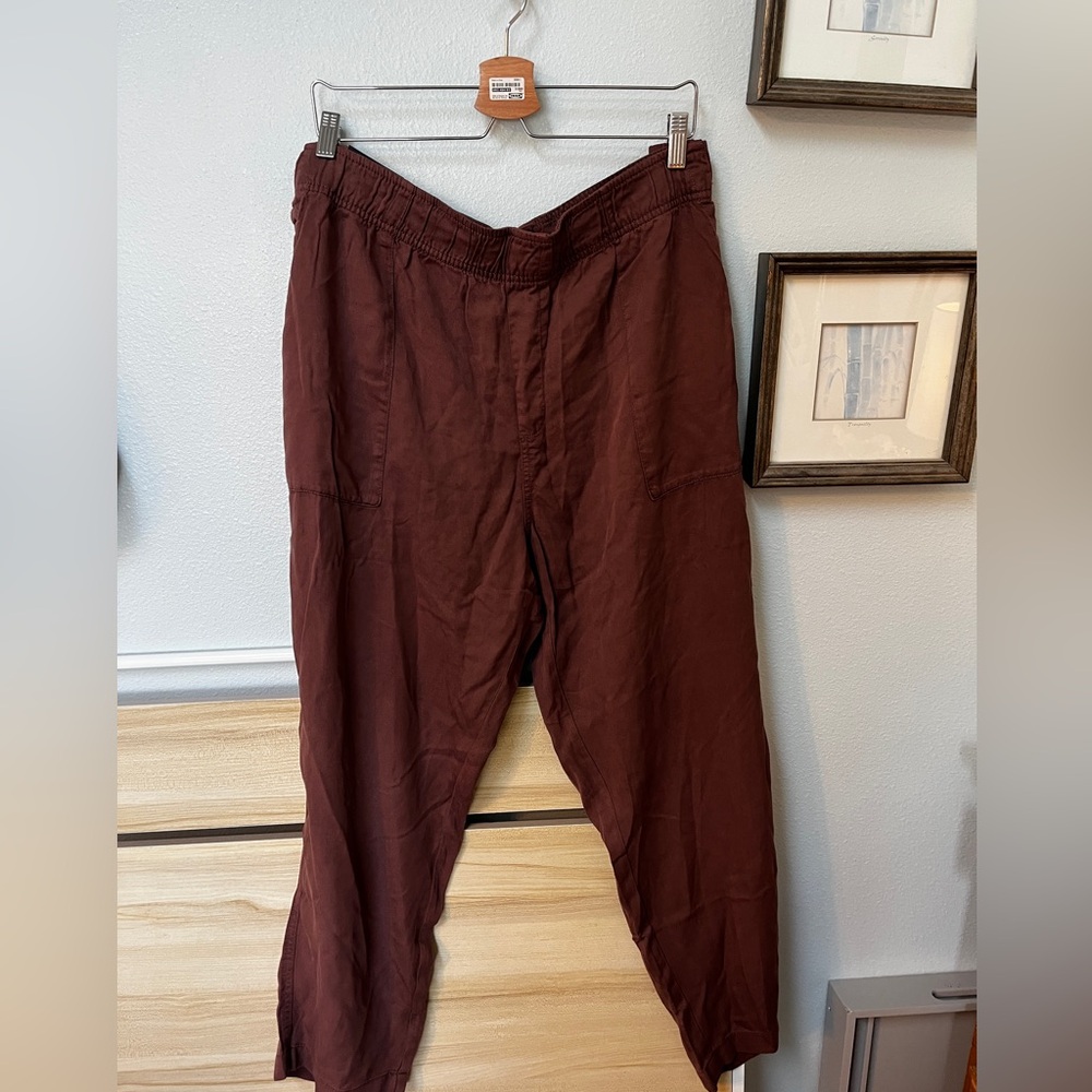 GAP Women's Dark Brown Joggers